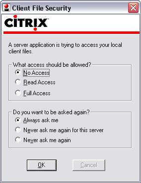 file security