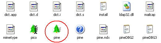 pine icon